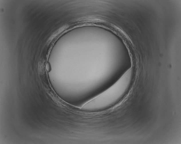 X0000081470873200701121013