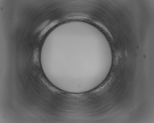 X0000081470874200701121013