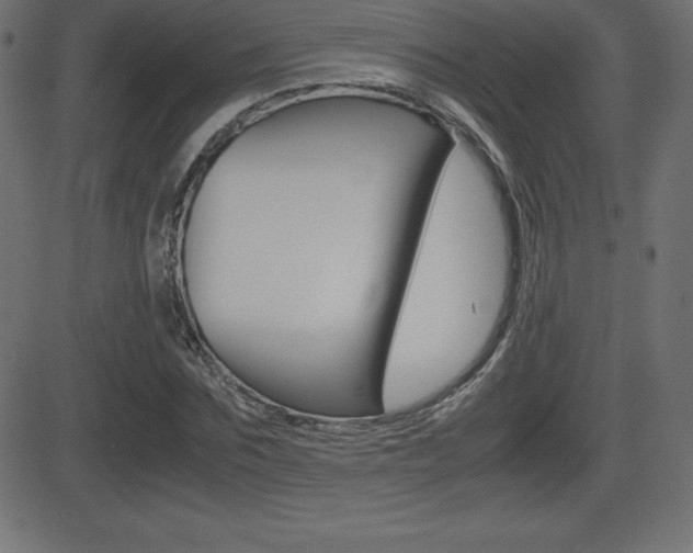X0000081470875200701121013