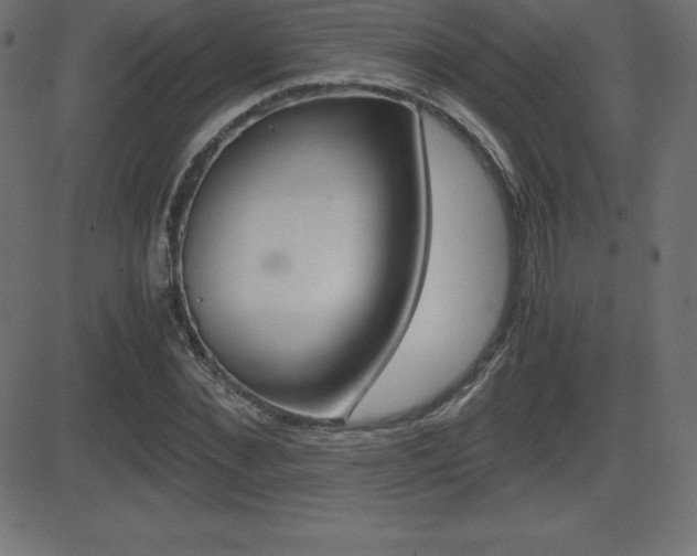 X0000081470876200701121013