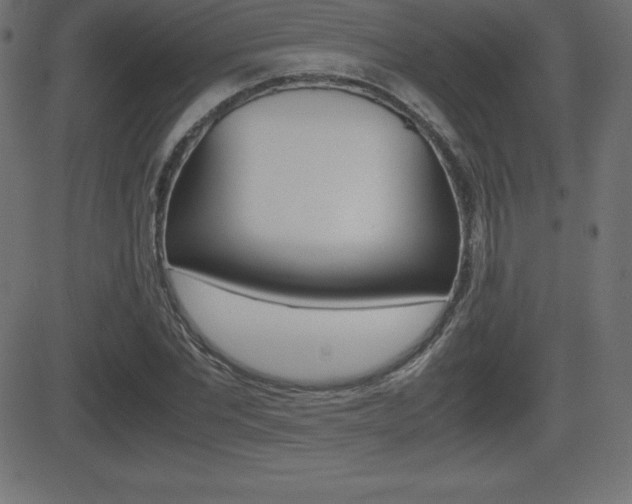 X0000081470877200701121013