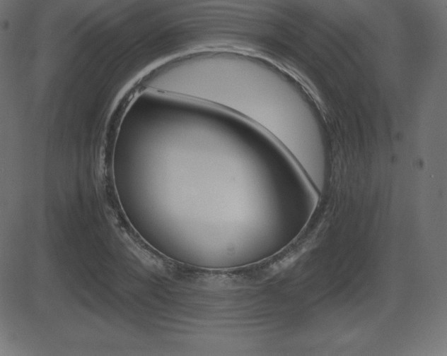 X0000081470880200701121013