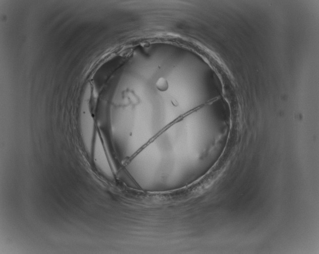 X0000081470881200701121013