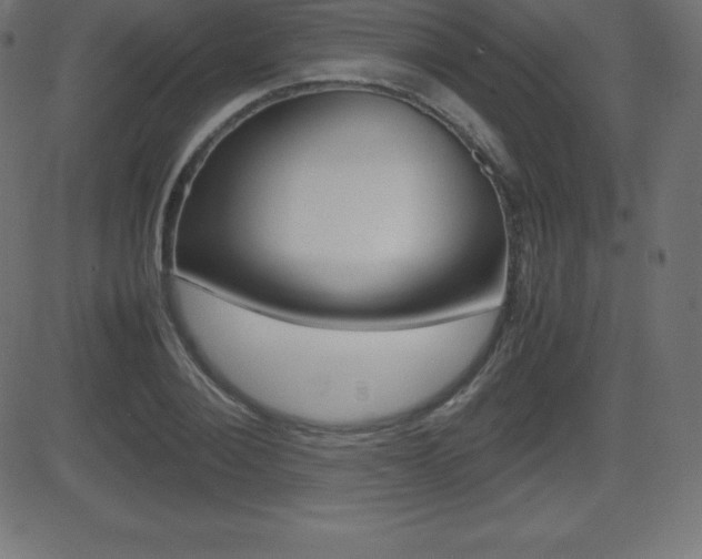 X0000081470884200701121013