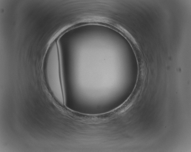 X0000081470885200701121013