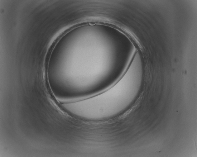 X0000081470888200701121013