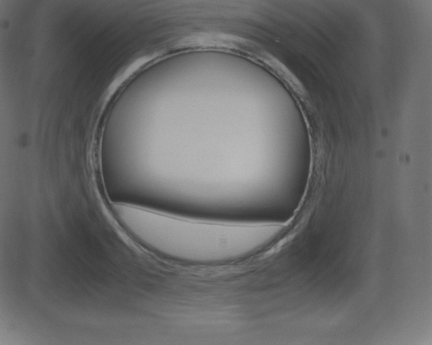X0000081470893200701121013