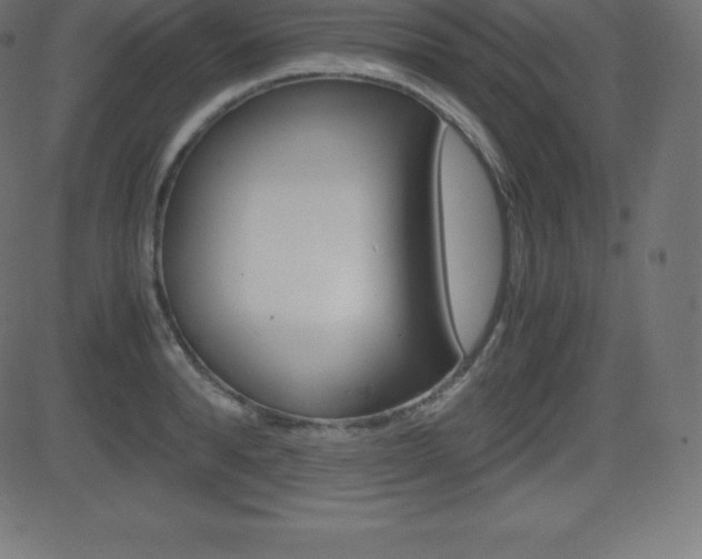 X0000081470896200701121013