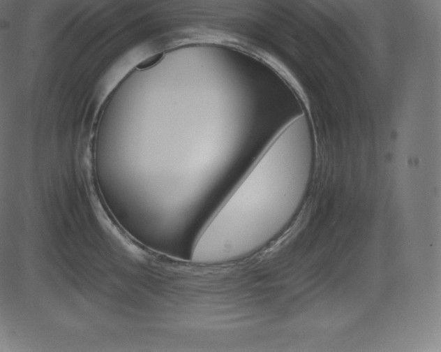 X0000081470906200701121012