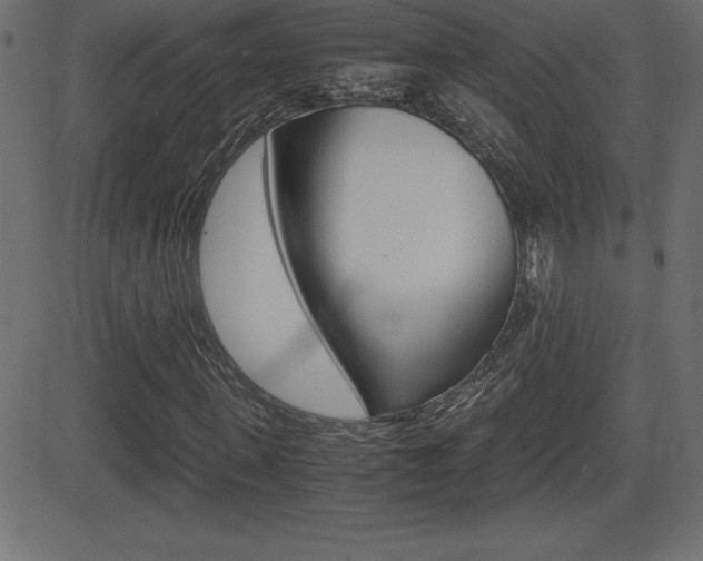 X0000081470915200701121012