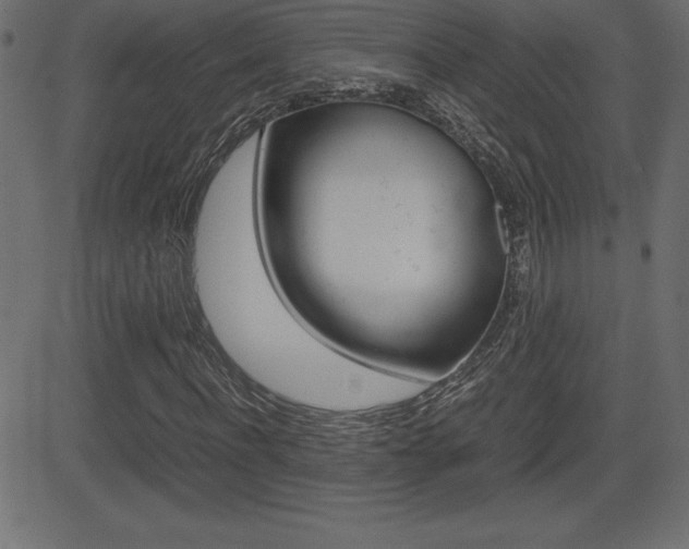 X0000081470916200701121012