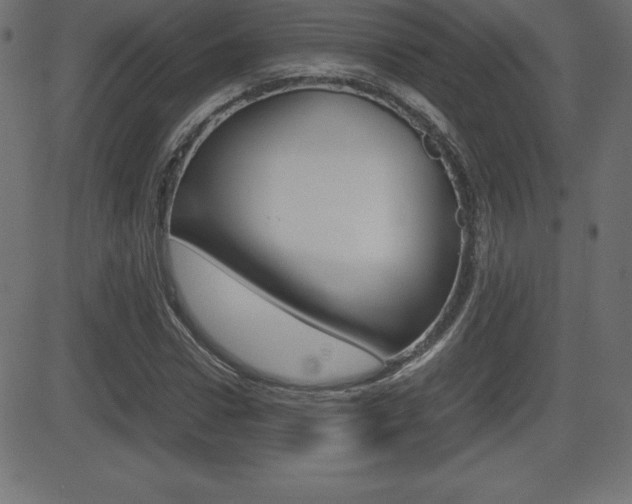 X0000081470922200701121012