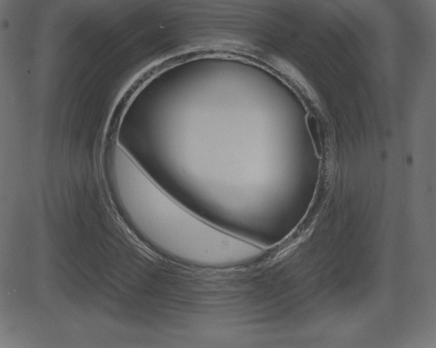 X0000081470924200701121012