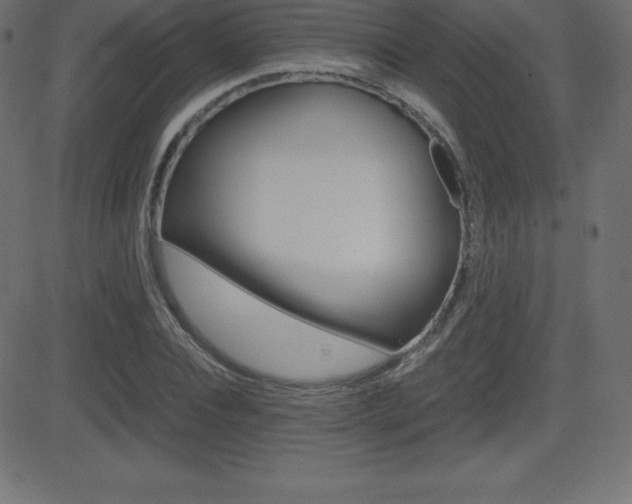 X0000081470928200701121012