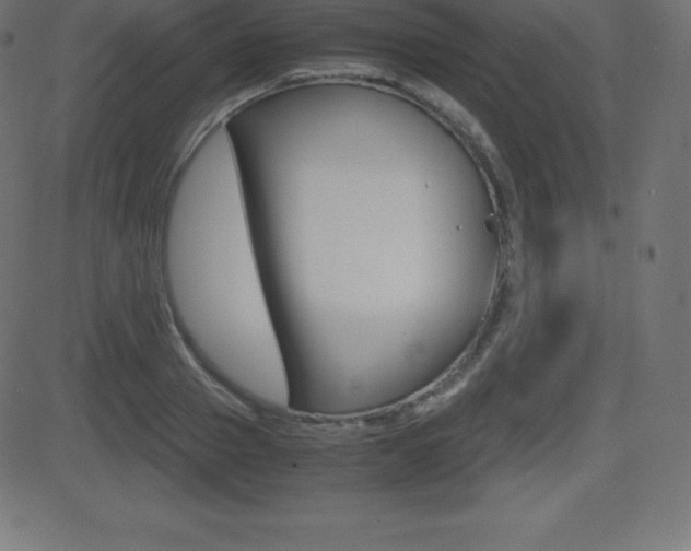 X0000081470937200701121012