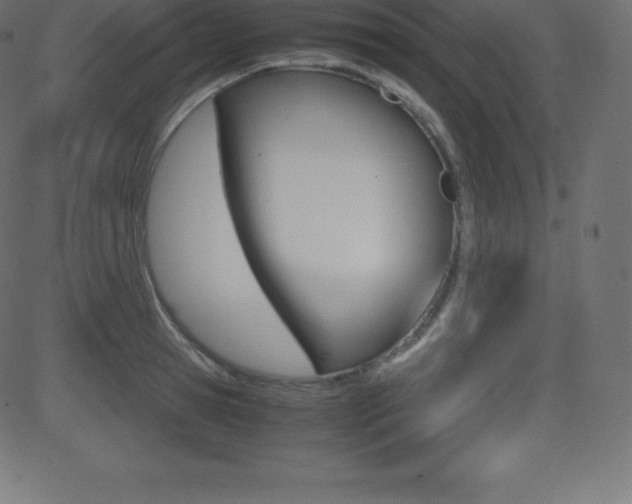 X0000081470945200701121012