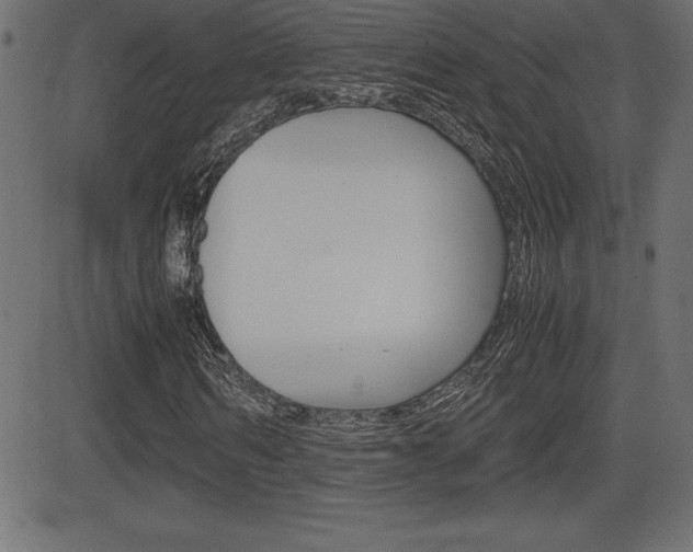 X0000081470962200701121011