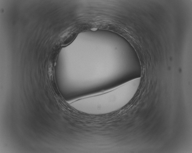 X0000081470963200701121011