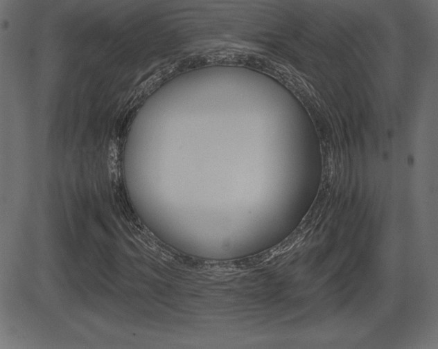 X0000081470964200701121011