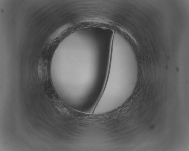 X0000081470968200701121011