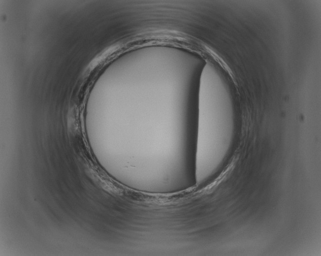 X0000081470970200701121011