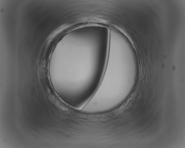 X0000081470971200701121011