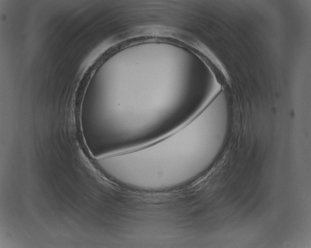 X0000081470972200701121011