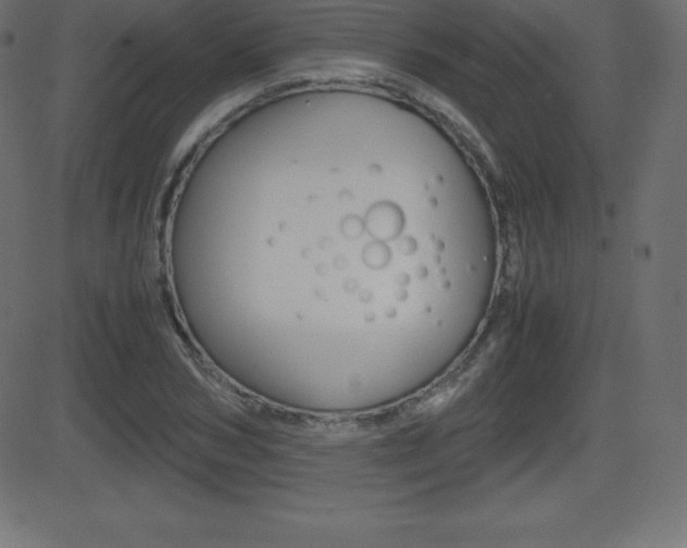 X0000081470978200701121011