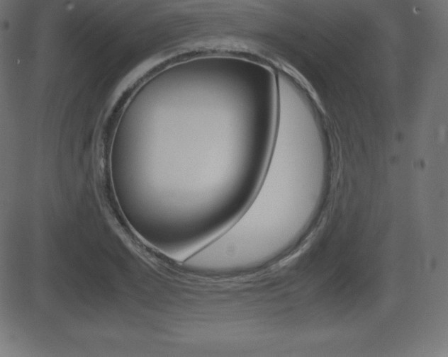 X0000081470981200701121011