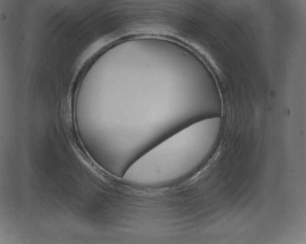 X0000081470982200701121011