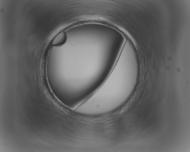 X0000081470983200701121011