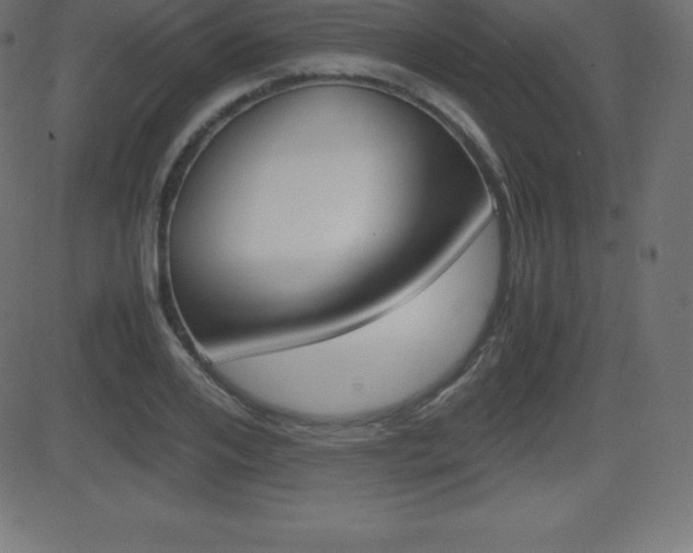 X0000081470984200701121011