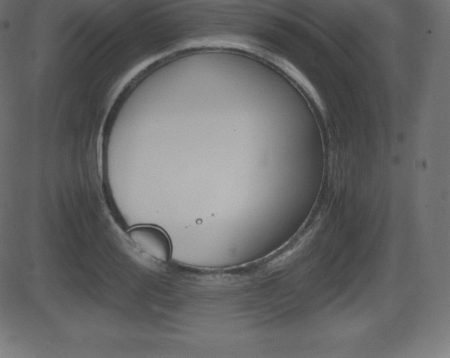 X0000081470988200701121011