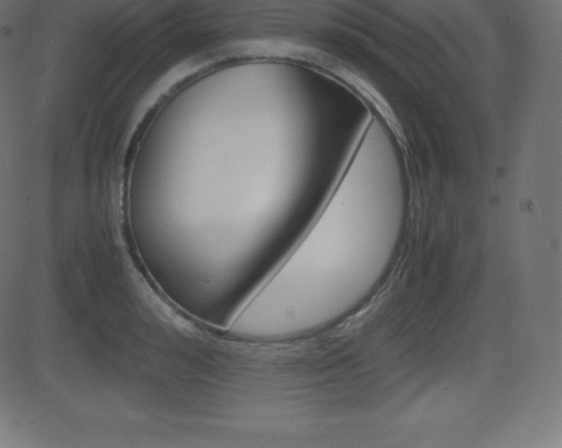 X0000081470992200701121011