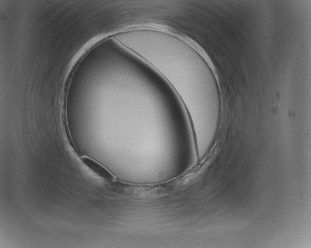 X0000081471005200701121011