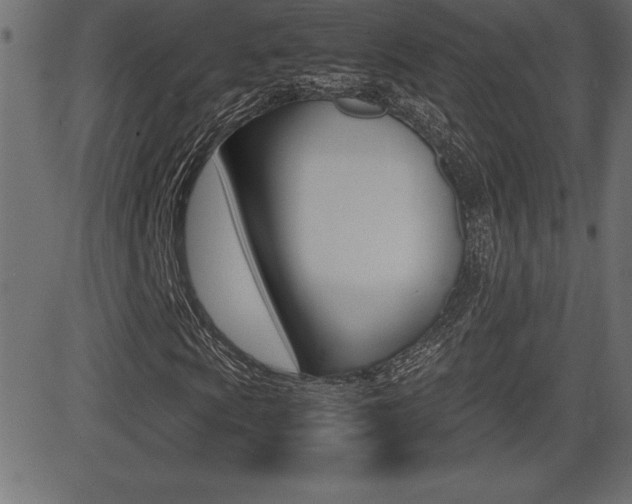 X0000081471009200701121010