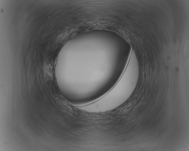X0000081471010200701121010