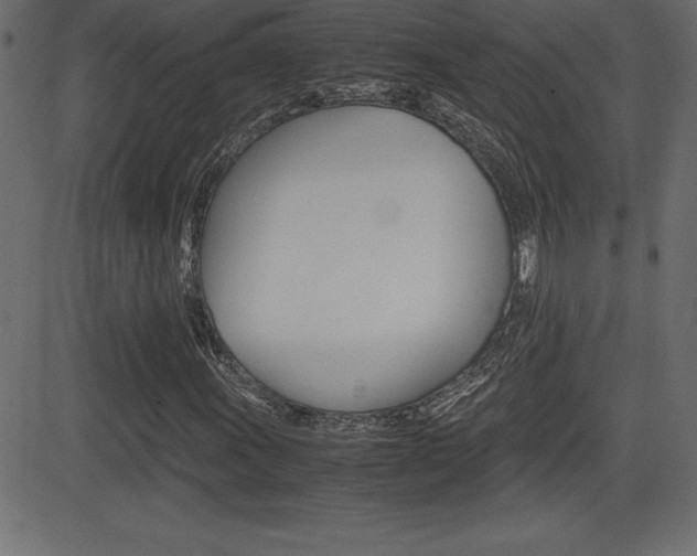 X0000081471011200701121010