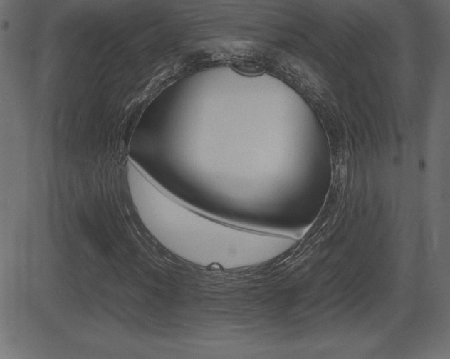 X0000081471012200701121010