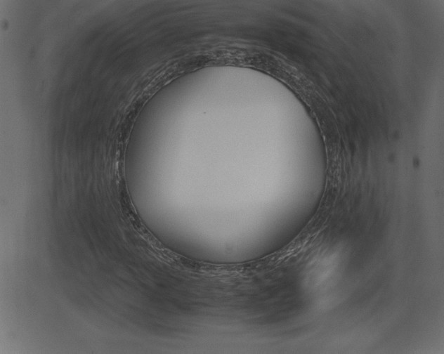 X0000081471013200701121010