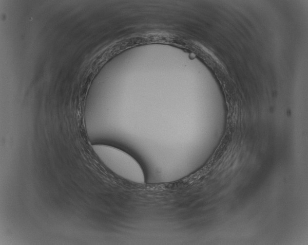 X0000081471015200701121010