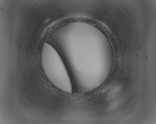X0000081471016200701121010