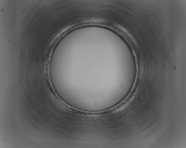 X0000081471017200701121010