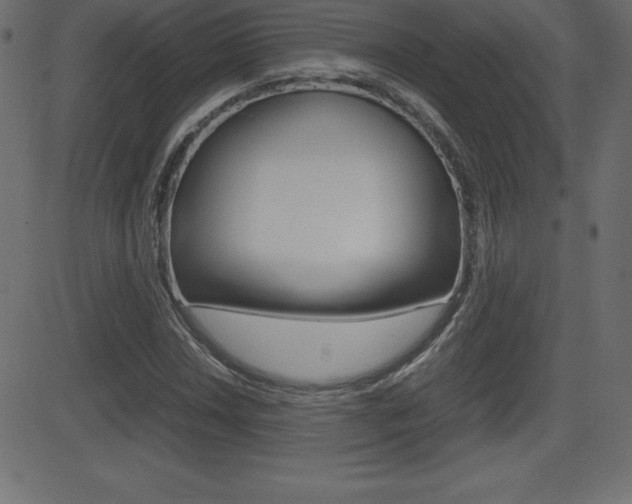 X0000081471018200701121010