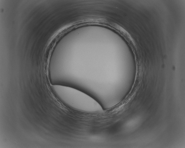 X0000081471019200701121010