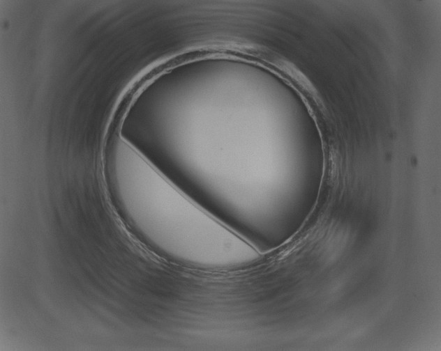 X0000081471020200701121010