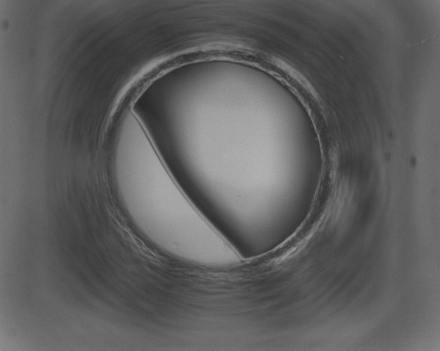 X0000081471021200701121010