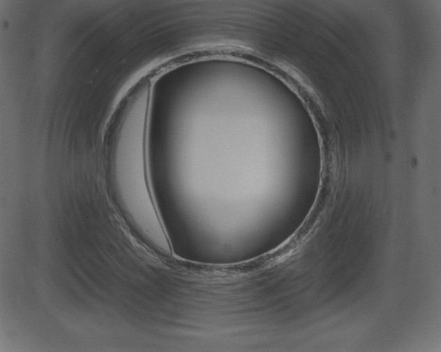 X0000081471022200701121010