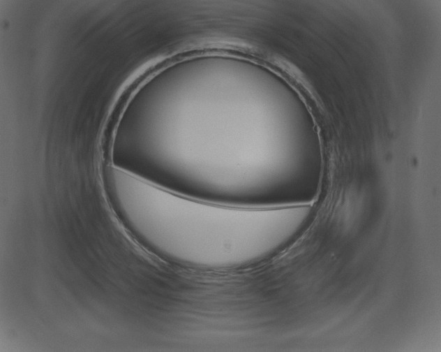 X0000081471024200701121010