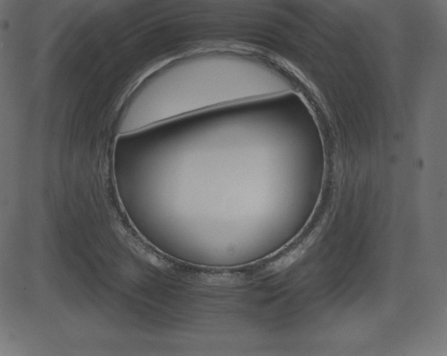 X0000081471025200701121010